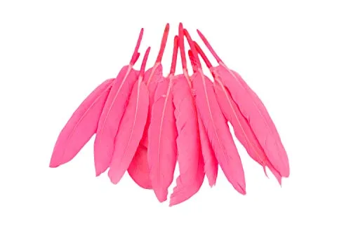 Indianerfedern ca. 10-15cm (pink 156) // Dekofedern Bastelfedern Masken Federn Schmuckfedern Vogelfedern 10