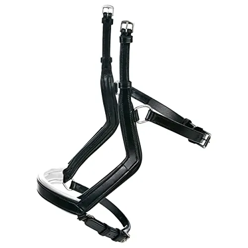 Reithalfter MODENA von Busse