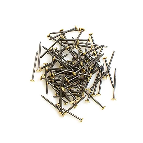 Design61 100x Stahl Bildernagel 1,4 x 26 mm