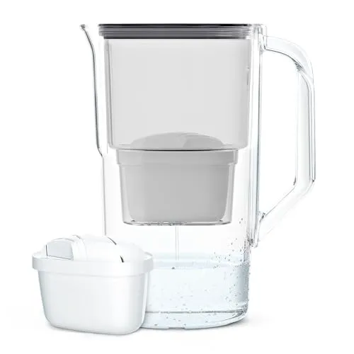 Wessper Wasserfilterkanne 2.5 L | Kartuschen Ersatz für Dafi Unimax Aquaphor A5 BRITA Maxtra+ PHILIPS AWP212/10 | Reduzierung von Kalk, Chlor | Inklusive 1 Wasserfilterkanne + Wasserfilter | Schwarz
