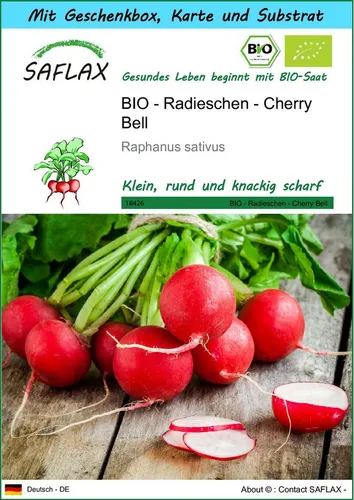 SAFLAX Gemüsesamen SAFLAX - Geschenkset - BIO - Radieschen - Cherry Bell