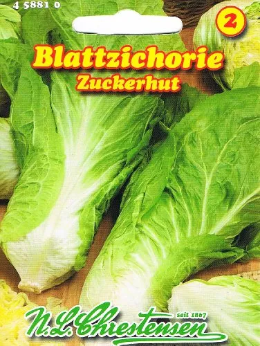 Zichoriensalat Schweizer Zuckerhut (Portion)