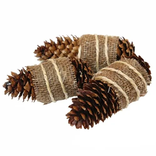 ConeFire k-cfj-100 Zapfenzünder Premium 100er-Karton