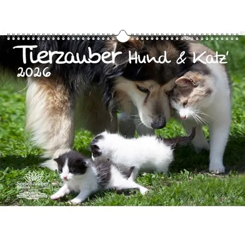 Tierzauber Hund und Katz DIN A3 Kalender für 2026 Freundschaften Hund Katze - Seelenzauber