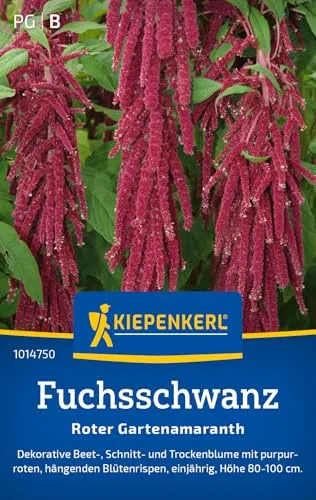 Kiepenkerl Fuchsschwanzsamen Roter Gartenamaranth 101475