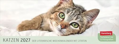 Katzen Premium-Tischplaner 2027 von Harenberg