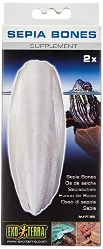 Exo Terra Sepia Bones, Sepiaschale, schwimmfähig, Kalziumquelle, ideal für Schildkröten und alle Eidechsenarten, 2er Pack