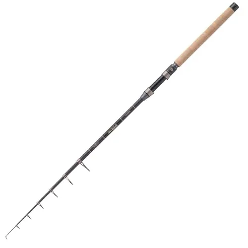 BALZER Diabolo Golden Circle Tele Mini Spin Heavy 2,75m von Balzer