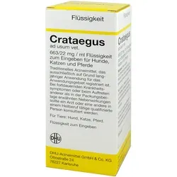 Produktbild Crataegus Dilution Vet. 250 ml