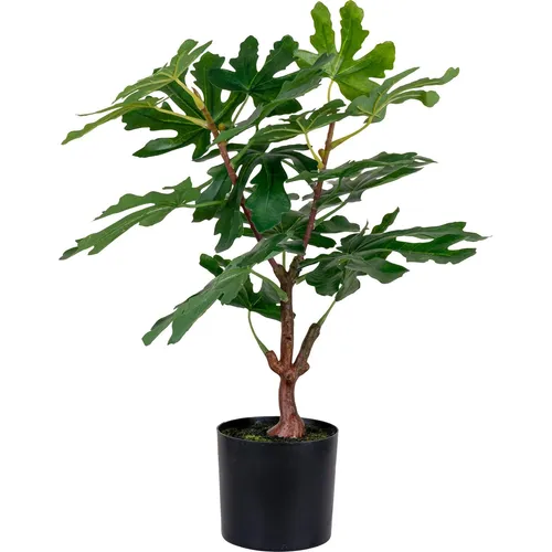House Nordic Fig (60 cm) - Kunstpflanze - Kunstpflanze in lebensechter Optik, ideal für eine grüne Atmosphäre ohne Pflegeaufwand.