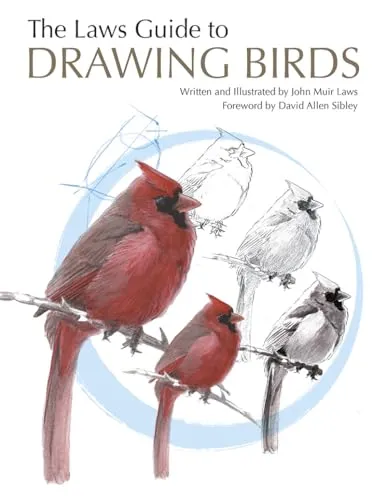 The Laws Guide to Drawing Birds von John Muir Laws - Bücher über Kunst & Fotografie, umfassende Anleitung zum Zeichnen von Vögeln mit wertvollen Techniken und Tipps von Experten.