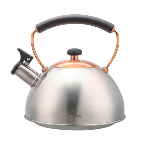 briebe Nordic Wasserkessel Induktion 2,3L