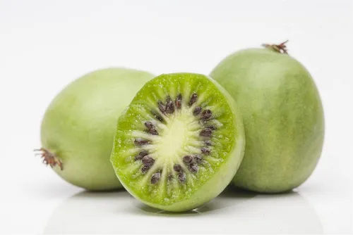 Pflanzen für Dich Obstpflanze Actinidia arguta - Mini-Kiwi Kletterpflanze - Obstpflanzen mit winterharten Kiwibeeren, reich an Vitamin C und ideal für sonnige Standorte. Pflegeleicht und bienenfreundlich, perfekt für jeden Garten!