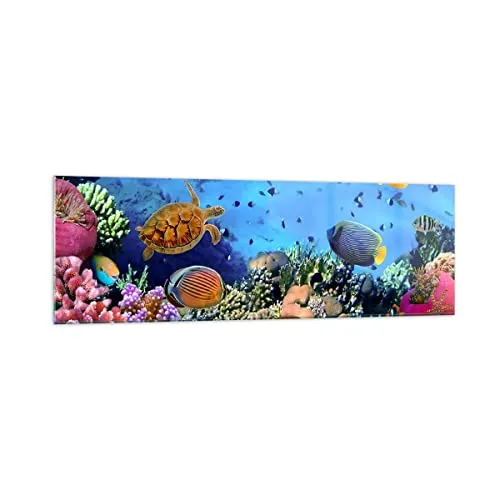 Panorama Bilder auf Glas 160x50cm Glasbild Korallenriff Groß XXL Wanddeko Bild im Glas Schlafzimmer Küche Wandbilder Dekoration Wohnzimmer Modern Wall Decor Wand Kunstdruck Art GAB160x50-3569