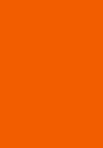 Blatt farbiges Druckerpapier / buntes Kopierpapier / Farbe: intensiv orange 100