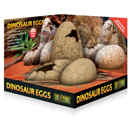 Exo Terra Dinosaur Eggs - Dinosaurier Eier, natürliches fossiles Aussehen und sichere Versteckmöglichkeiten für Terrarienbewohner