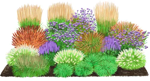 Dehner Bio Stauden-Set Großes Gräser-Beet, 24 Pflanzen für Ihren Garten - Vielfältiges Bio Stauden-Set mit 24 Pflanzen, ideal für pflegeleichte Gräserbeete. Füllt eine Fläche von ca. 4,5-6 m² und bietet einen zauberhaften Anblick, der das ganze Jahr über besticht.