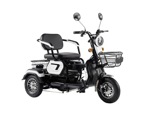 ENEWAY Elektromobil Bari
