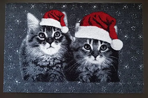 Trendstern Fußmatte Tiere Eulen Katzen Hunde Blumen für Innen und Außen Home 40x60 cm wetterfest rutschfest waschbar (Weihnachten)