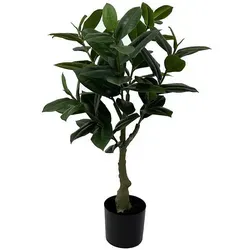 Künstliche Pflanze Gummibaum, 69 cm