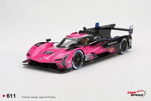 TOP SPEED TS0611 1/18 Cadillac V-Series.R #01 2024 IMSA Petit Le Mans Sieger