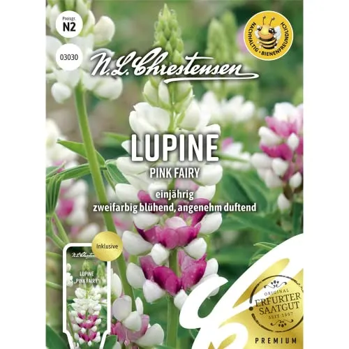 Lupine Pink Fairy, einjährig, bienenfreundlich, Samen