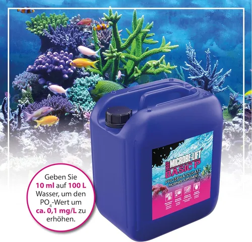 Microbe-Lift Basic P - Phosphat-Erhöhung 5l für Süß- und Meerwasser - Wassertests & -aufbereitung, effektive Phosphat-Erhöhung für gesundes Wasser in Süß- und Meerwasseraquarien.