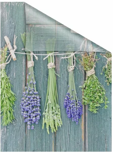 LICHTBLICK ORIGINAL Fensterfolie Kräuter von LICHTBLICK ORIGINAL