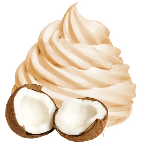 Kokosmilch Nuss Frozen Joghurt Pulver 1 kg von Gino Gelati