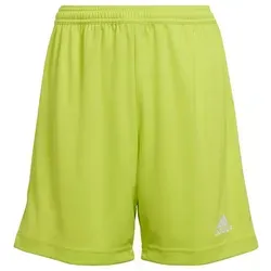 adidas Shorts Grün von adidas