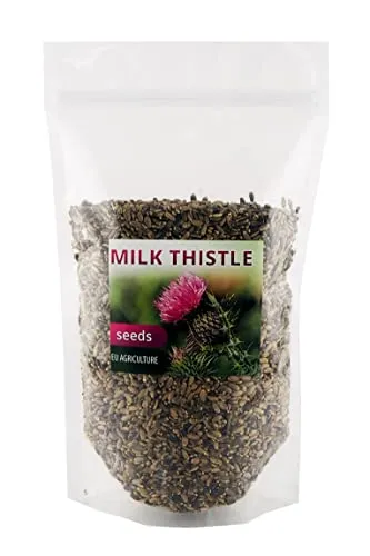 Mariendistel samen ganz, Mariendistelsamen ganz, Reif und dunkelbraun, Silybum marianum 1kg