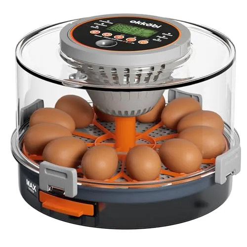 Okköbi Brutautomat vollautomatisch – Brutmaschine für 12 Eier – Temperatur & Luftfeuchtigkeit automatisch geregelt – Eierprüflampe integriert – Inkubator für Hühner-, Wachtel-, Enteneier