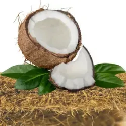 Matratze 180x200 Komfortschaum Kokosmatte H3 Schaummatratze 2 in 1 Wendematratze Jugendmatratze