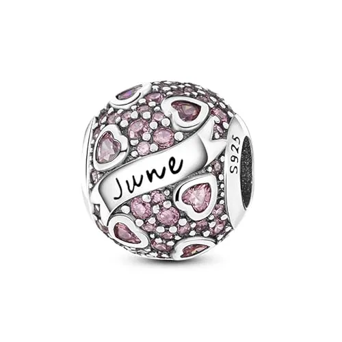 Pandach Damen Charm Anhänger für Armband 925 Sterling Silber Charms Beads passend für Armband und Halskette, Kompatibel mit Europäischen Armbänder für Frauen Mädchen C2
