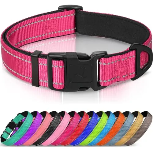 Joytale Halsband Hund, Gepolstertes Hundehalsband Breit aus Neopren Nylon Hundehalsband Verstellbar für Welpen, Weich und Reflektierend Hundehalsbänder, XS, Hotpink