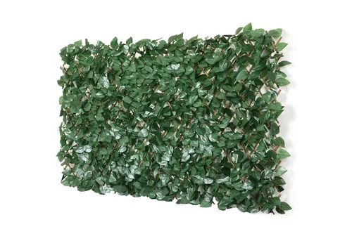 Coradoma Gewürzregal Gitterzaun ausziehbar 100x200cm - Gewürzregale mit Sichtschutz und Wand Dekoration, individuell gestaltbar mit täuschend echten Blättern für Garten, Balkon oder Terrasse.