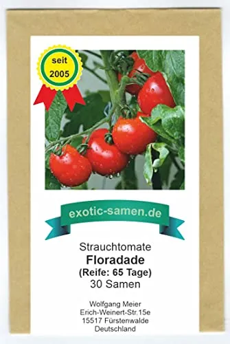 Pflanzen Rot von exotic-samen