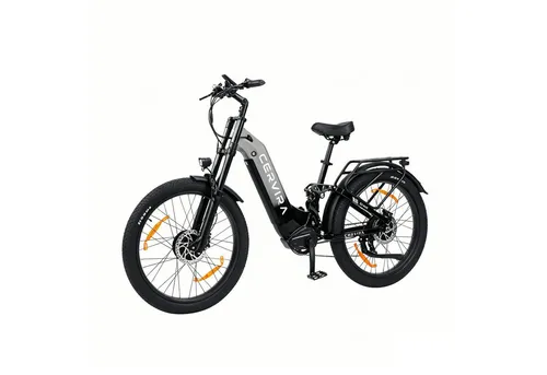 PIXAR E-Bike Fatbike 250W Dual-Antrieb mit Samsung Akku