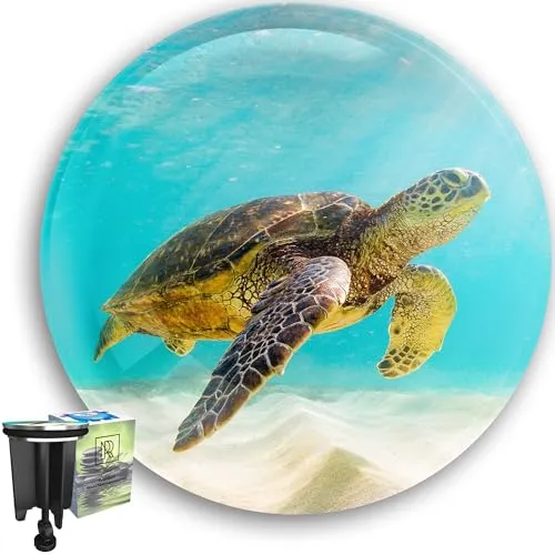 M. ROSENFELD HOME Waschbeckenstöpsel mit Motiv 40mm – Abflussstopfen Waschbecken aus Messing, höhenverstellbarer Excenterstopfen, rostfrei & dicht – Stöpsel für Waschbecken & Abflussstöpsel