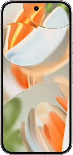 Google Pixel 9 Pro von Google