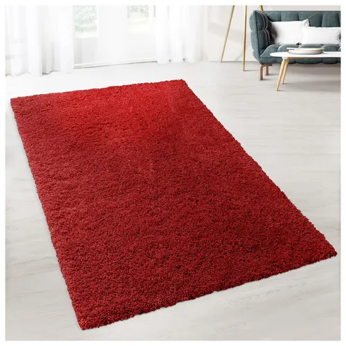 Produktbild floordirekt Shaggy-Teppich Prestige Rot