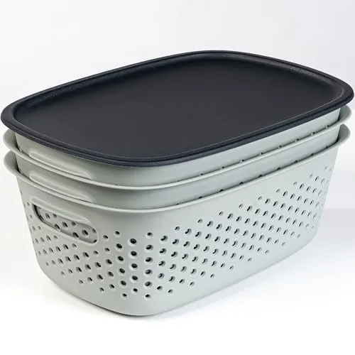 KONZEPT 3er Aufbewahrungsbox mit Deckel klein 3,5 l, Aufbewahrungskorb aus Kunststoff, Farbe grünlich