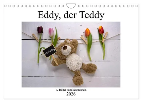 Immephotography Immephotography | Eddy, der Teddy - 12 Bilder zum Schmunzeln...