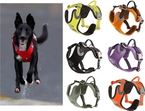 Hurtta Weekend Warrior Eco Hundegeschirr, Hecke, 99-119 cm von Hurtta
