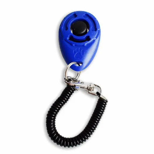 Klicker Training Hund Katze - Klickertraining für Hunde und Katzen