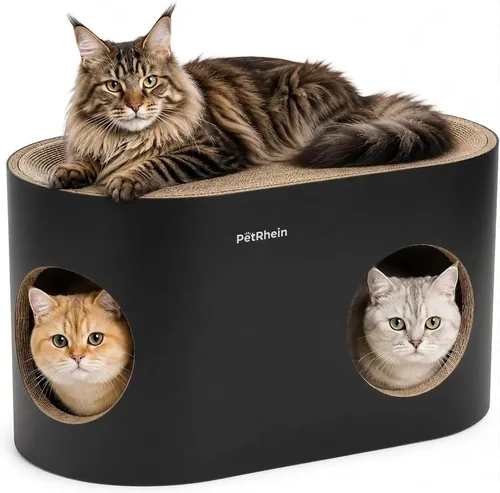 PetRhein Safari Lodge XXL Kratzhaus 3-in-1 für Katzen