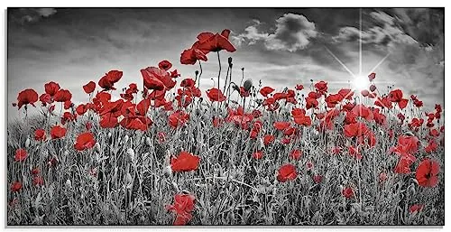ARTland Wanddeko Glasbilder Wandbild Glas Bild einteilig 60 x 30 cm Pflanzen Blumen Blumenwiese Mohnblume Rot Foto Schwarz Weiß Idyll Sonne S8HV