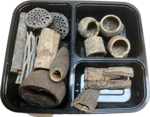 Catappa-Leaves Aquarium 15er Set mit Höhlen als Versteckmöglichkeit - Vuka Cholla Lotusschoten Mangopod Seemandelbaum Rinde Naturprodukte