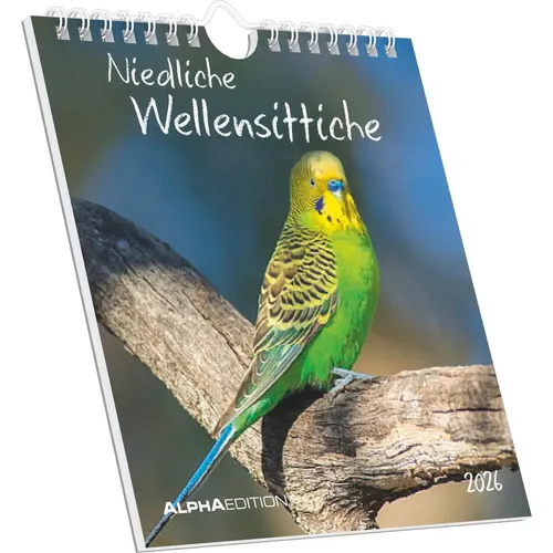 Alpha Edition | Niedliche Wellensittiche 2026 - Postkartenkalender 16x17 cm -...