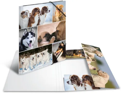 HERMA Fächermappe Sammelmappe A4 Pappe Hunde (3 Stück)